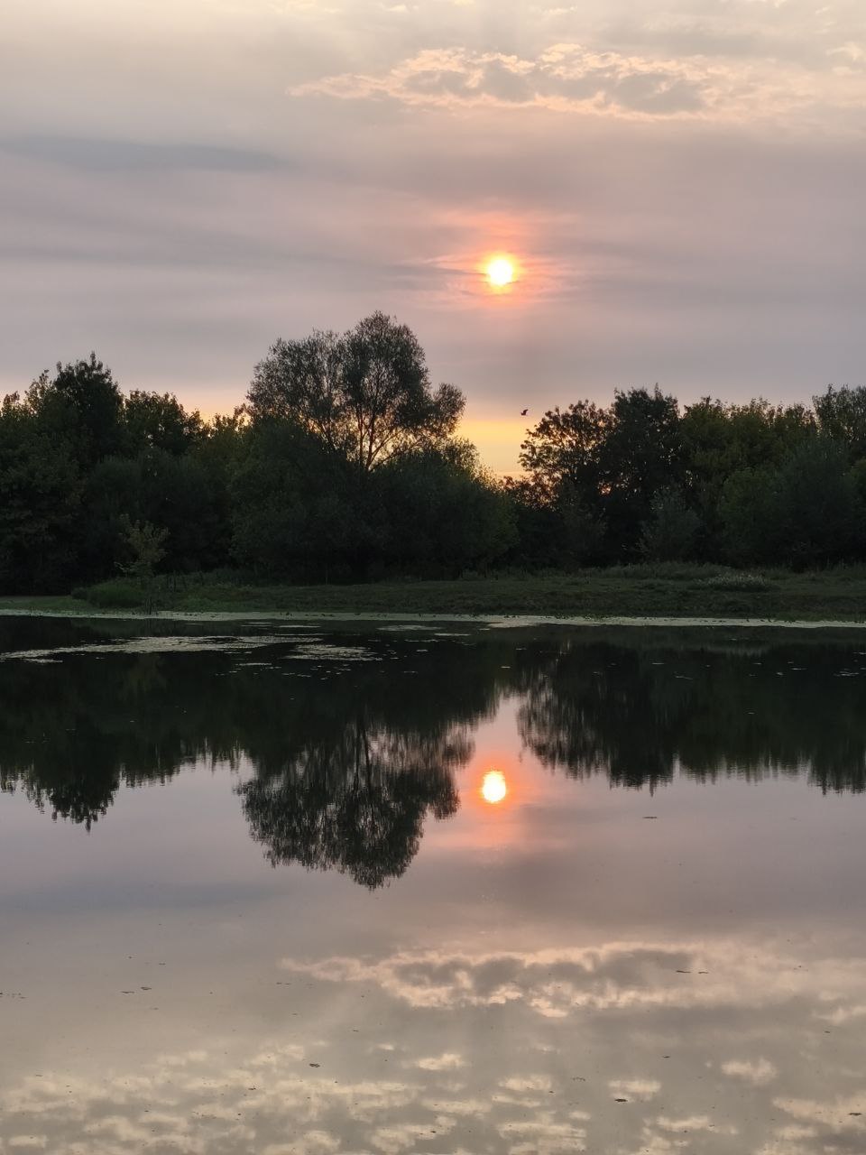 photo_2025-09-04_11-08-57