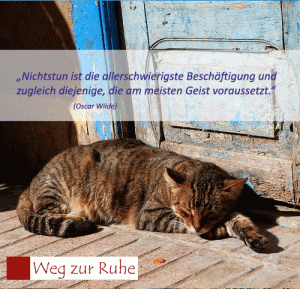 katze