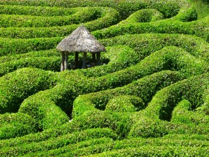 maze-511154 1920