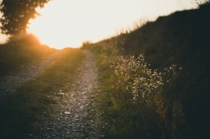 path-691233 1280