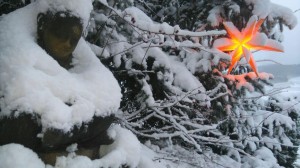 photo 2016-12-18 11-00-08