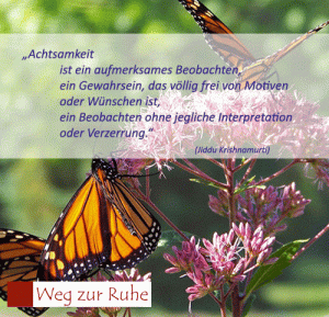 spruch-achtsamkeit