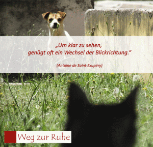 spruch-blickrichtung