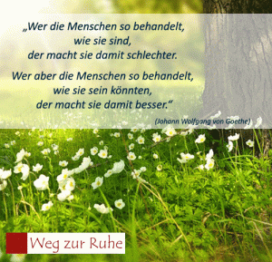 spruch-goethe