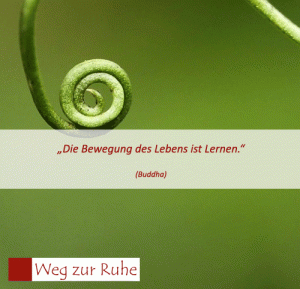 spruch-lernen