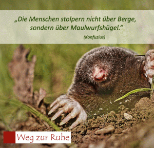 spruch-maulwurf