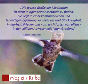 spruch-medi