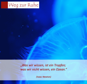 spruch-newton