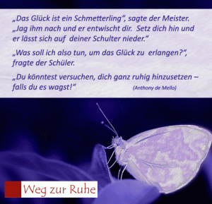 spruch-schmetterling