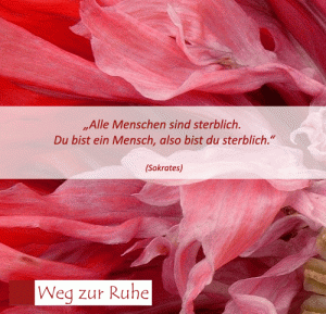 spruch-sokrates