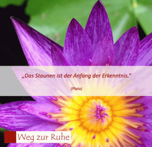 spruch-staunen