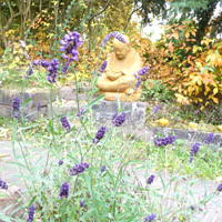 zen1 (1)   